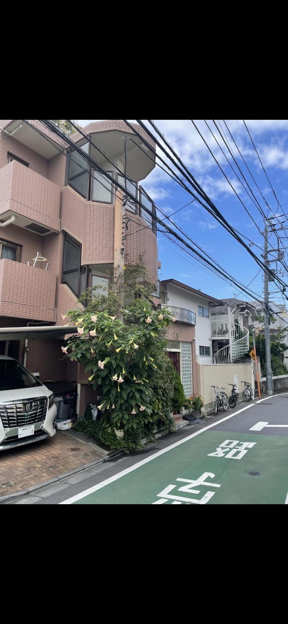 新宿安靜の家-A Quiet Home In Shinjuku - A 26 Square Meter Double Bed Room That Feels Like Home Prefektura Tokio Exteriér fotografie